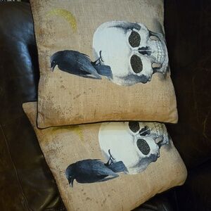 Set of 2 Halloween pillows like new condition
